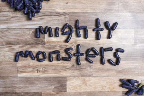 food-feature-mighty-monster-grapes-associated-food-stores